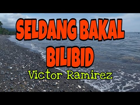 Selda na Bakal Bilibid Muntinlupa ~ Mr. Victor Ramirez song LYRICS / @entingpasaway5962