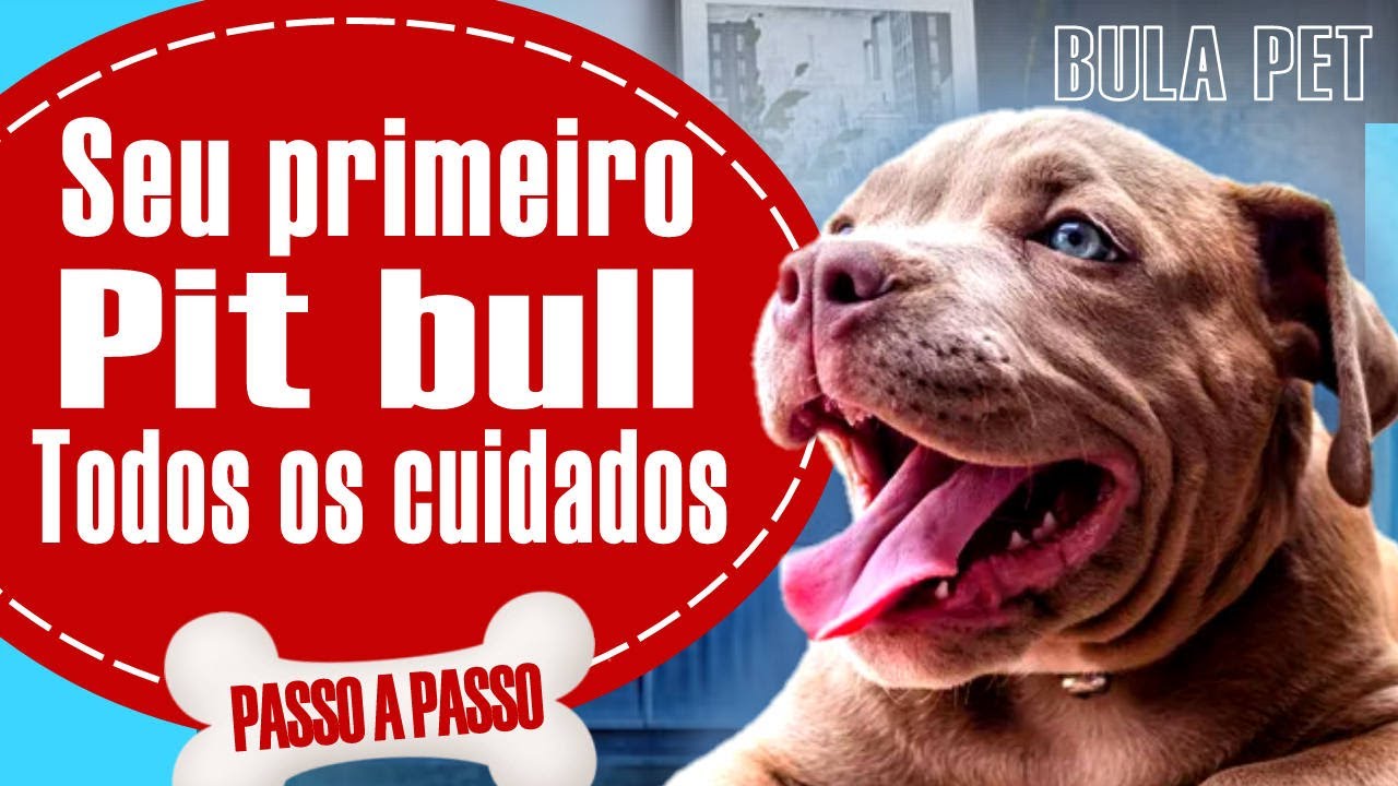 Dicas de como cuidar de filhote de Pitbull pela PRIMEIRA VEZ! | PIT BULL #pitbull #video #videoviral