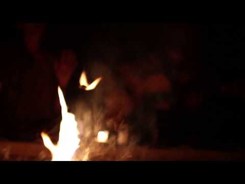 SARAVAMOS - Entra na Mata