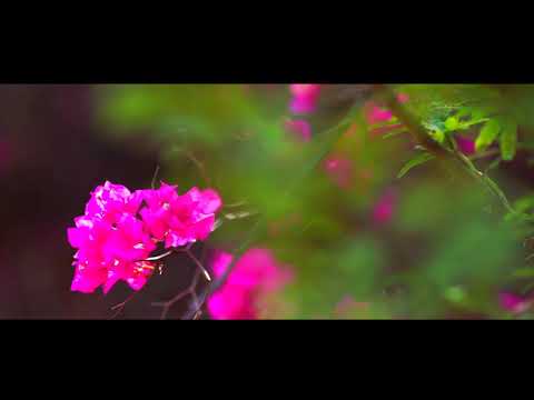 Snithik birthday shoot