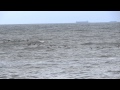 Cormorani La Cazino Constanta