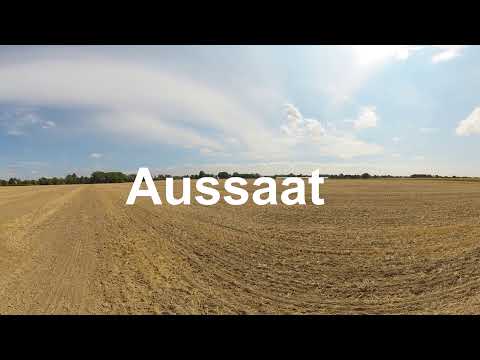 Ackerbau:  Aussaat auf Haus Düsse
