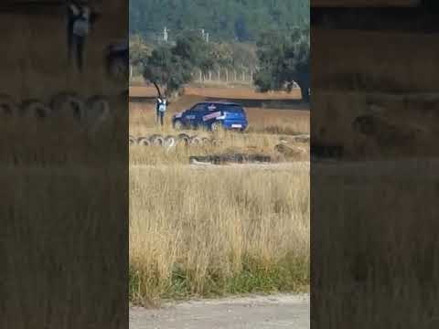 19/11/2017 EGE ASAL MENDERES OTO KROS YARISI TOLGA TEZEKEN