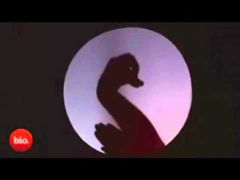 Schattenspiel - Einfach Fantastisch