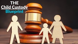 3 Child Custody MUST DO
