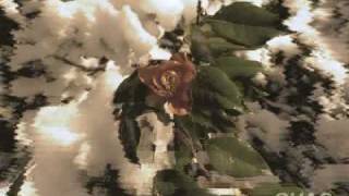 Per Amore (Andrea Bocelli)