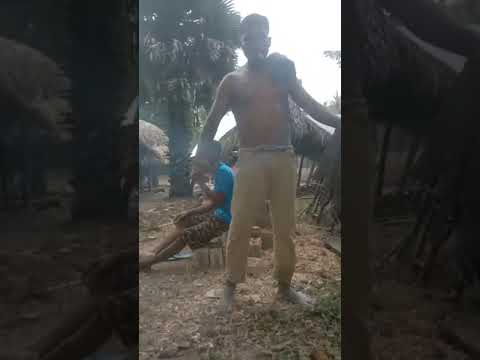 nina Hau Nia doben cipt.Abito gama