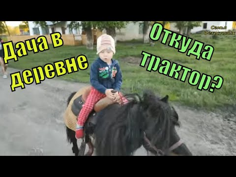 Откуда трактор? Конная прогулка. Занятия с малышом/ Семья Фетистовых