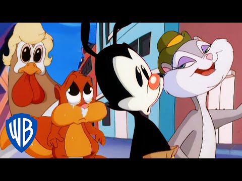 Animaniacs | Everyone But the Warners | Classic Cartoon Compilation | WB Kids