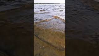 Download lagu Awara Shaam hai short video/Piyush mehroliyaa/meet Bros with water views. mp3 Download lagu Awara Shaam hai short video/Piyush mehroliyaa/meet Bros with water views. mp3