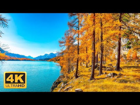 11 HOURS of 4K Enchanting Autumn Nature Scenes + Relaxing Piano Music for Stress Relief
