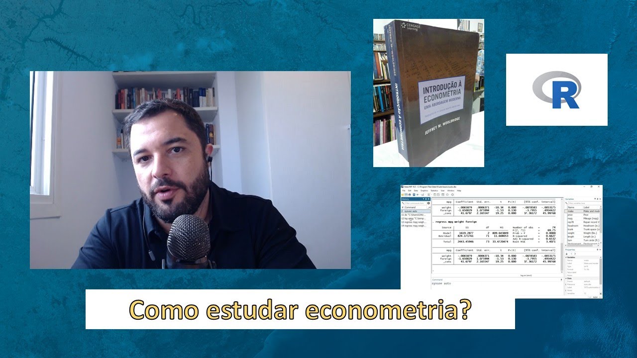 Aprenda como estudar Econometria