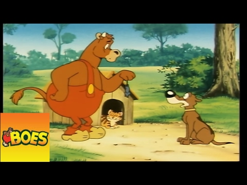 Een kater voor Saffie - Boes