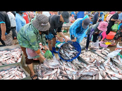 Unbelievable Fish Market Scene Early Morning at 6:30 am - Vendors, Fish, Seafood & More|TourWithPapa