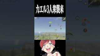 【荒野行動】突然現れたカエル3人衆がやばすぎるwwwww #まろ　#荒野行動　#shorts