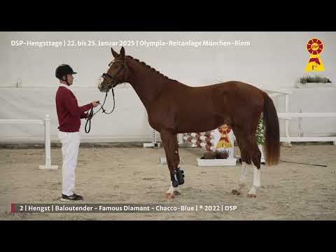 Lot 2 v. Baloutender / Famous Diamant