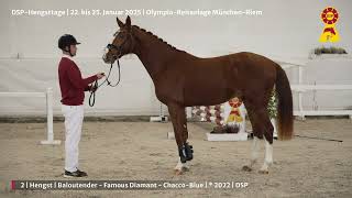 Video de Breaking News TS