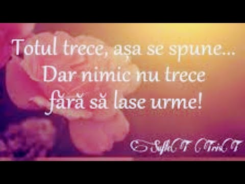 Mărturie tristă și dureroasă .  Fr. Petrică Kalberer