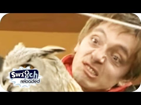 KiKa Baumhaus - Juri dreht durch | Switch Reloaded