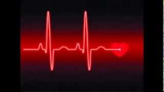 Seu jeito de Amar    Maria Bethania