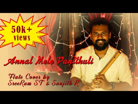 Annal Mele Panithuli - Nidhare Kala | Vaaranam Aayiram | Flute Cover | Sreeram ST