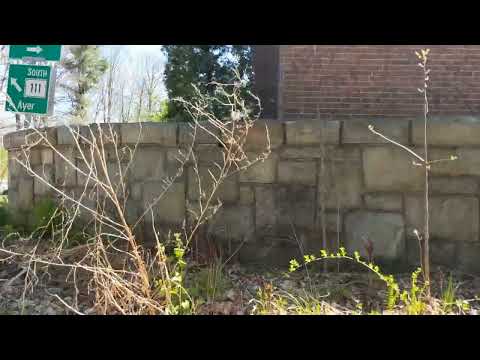 Old World Wall in Groton,Ma