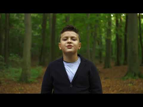 Keby som bol vtáčkom