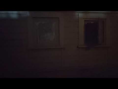 Rachel C almost every evening