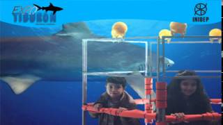 DIA 2 Expo Tiburon224