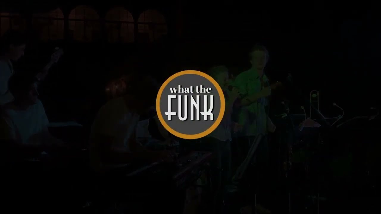 WHAT THE FUNK Piece of my life cover