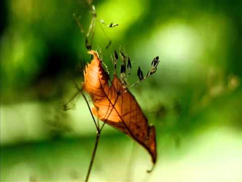 Nemanja Kostic - Return Journey (Original Mix)