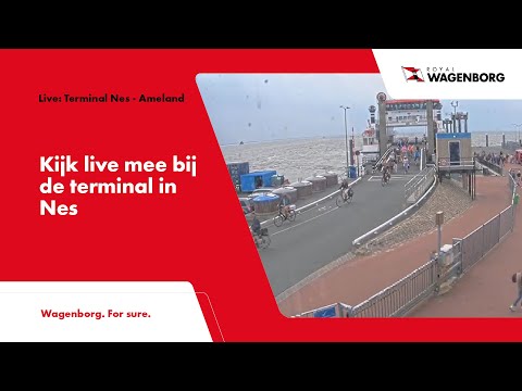 Live: Terminal Nes – Ameland