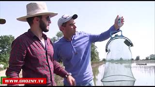 В Грозном прошел региональный рыболовный турнир «Большой улов» 