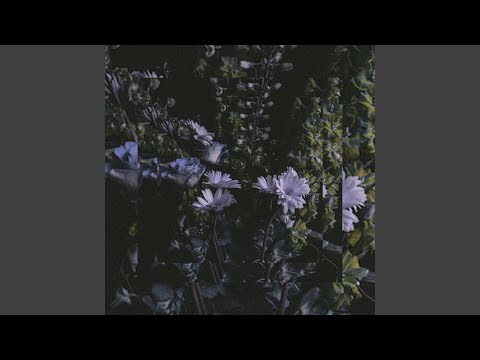 Video thumbnail for Can’t Stay Here