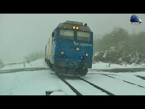 Horns Concert de Goarne in Zapada/Snow By Jimmy 65-0990-5 in Halta Jebuc Halt - 20 April 2017