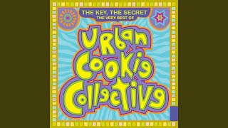 Spend the Day (Dance Collective Mix)