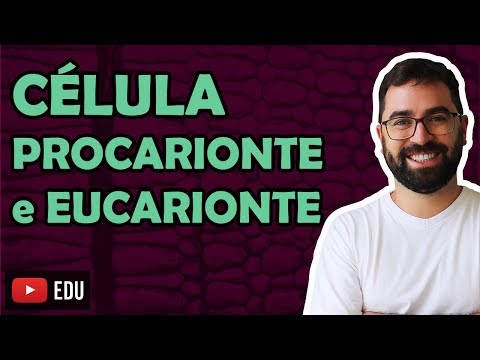 Prokaryotic and Eukaryotic Cells | 🔴 New lesson on this topic in the description