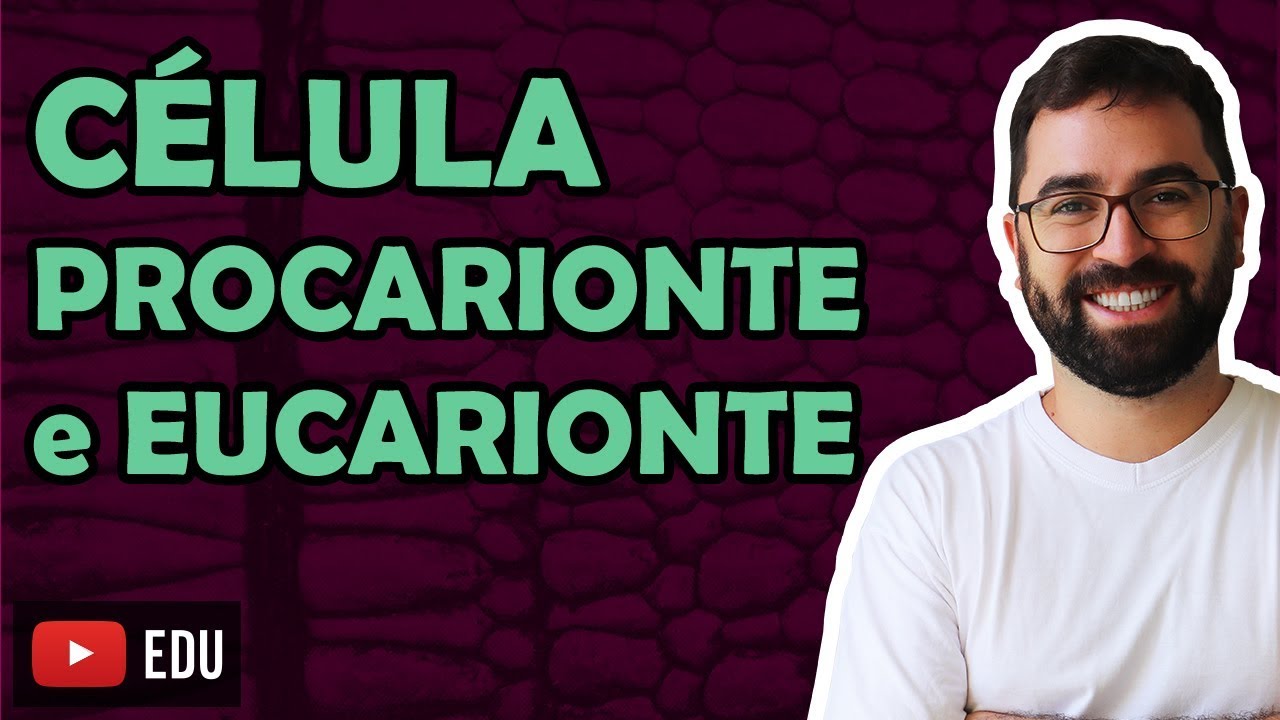 Célula Procarionte e Eucarionte | 🔴 Aula nova sobre este assunto na descrição