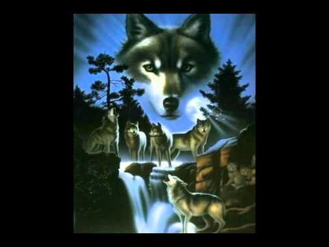 bate pe6o ft  tina   wolf