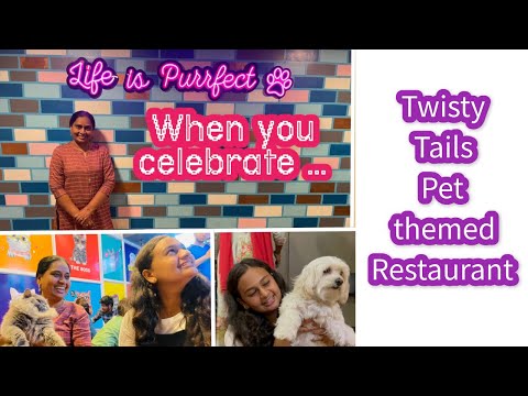 Twisty tails pet themed restaurant | review by Ashritha | #petlovers #pets #themerestaurant #food