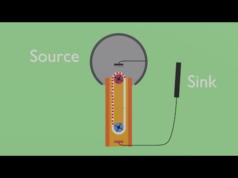 The Physics of a Van de Graaff Generator