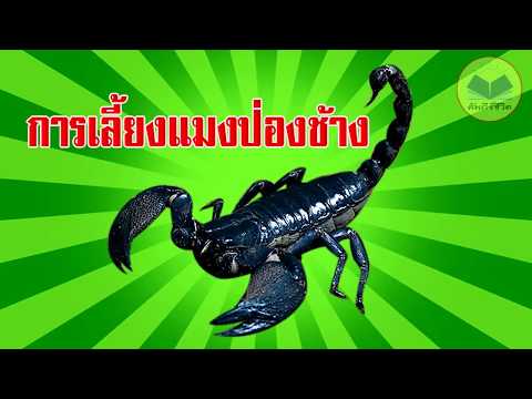 สาเหตุเจ้าหน้าที่ของผู้หญิงลดลง ฉันไม่มีแรงปรารถนา
