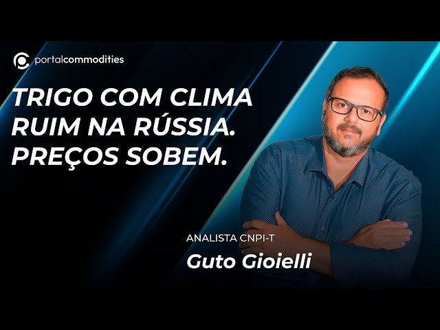 Trigo e o clima.