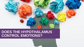 Does the hypothalamus control emotions?