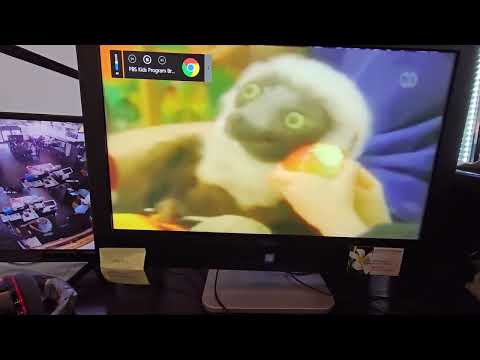 Promo: Zoboomafoo (2005 WNPT)