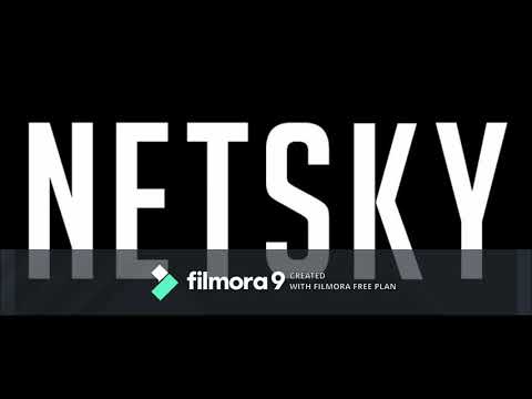 Netsky & Lion Feat. Smoki Mo - Hustle (Prisma DnB Leemon Mash-Up 2K10)