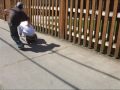 Going Down The Alley