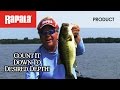 Rapala Countdown Wobbler 5,0cm Perch (P) 5g, sinking, 1 Stück