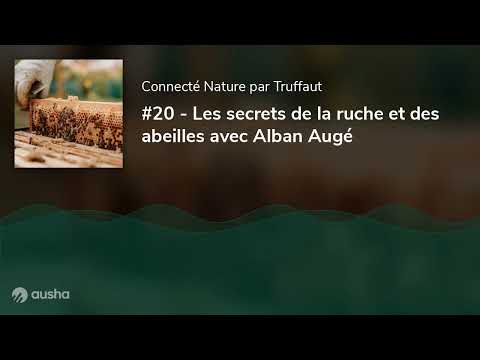 , title : 'Podcast #20 - Les secrets de la ruche et des abeilles avec Alban Augé'