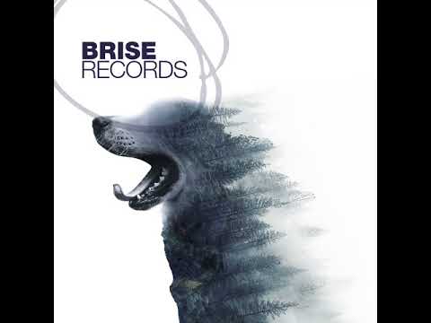 Brothers In Progress, Venditti Bros - Substantia Nigra (Brise079)